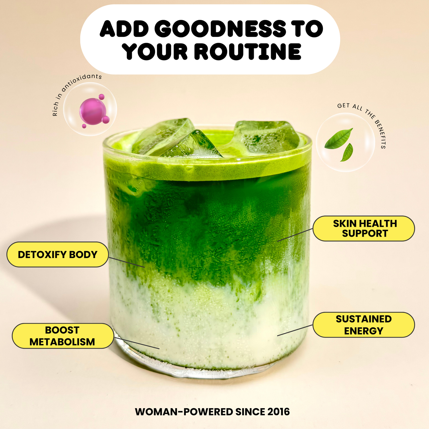 Holy Matcha Ceremonial - 3 Month Supply 80g